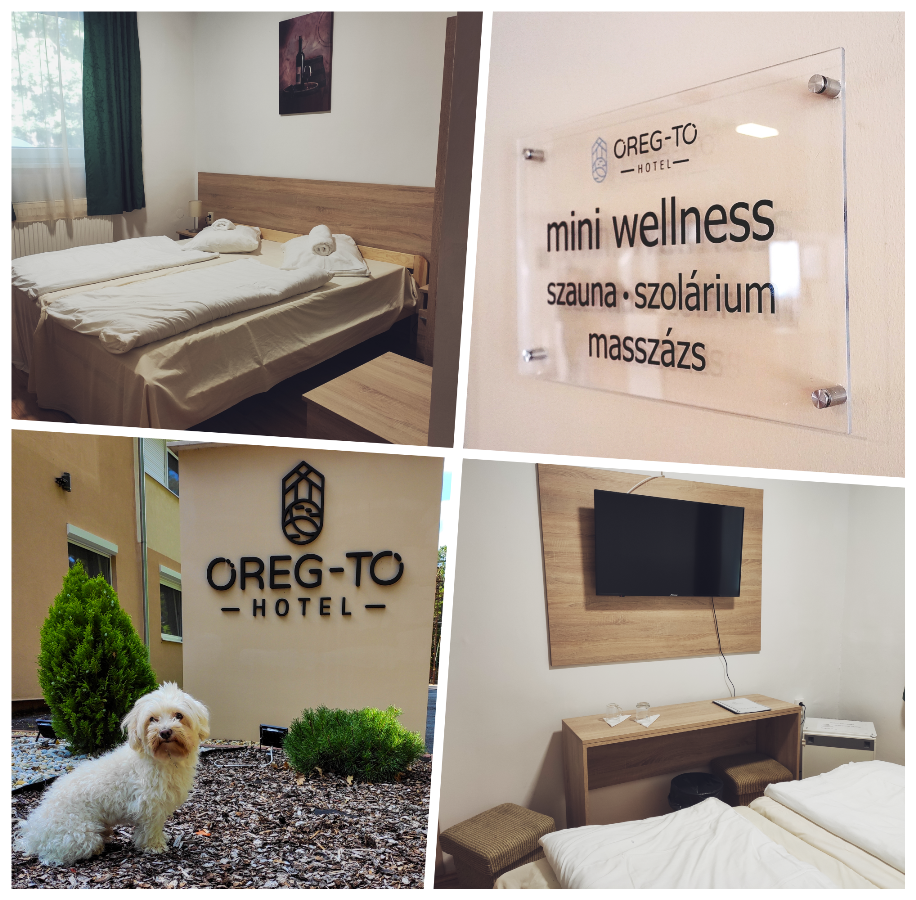 Oereg-To Hotel Es Rendezvenyter Тата Экстерьер фото